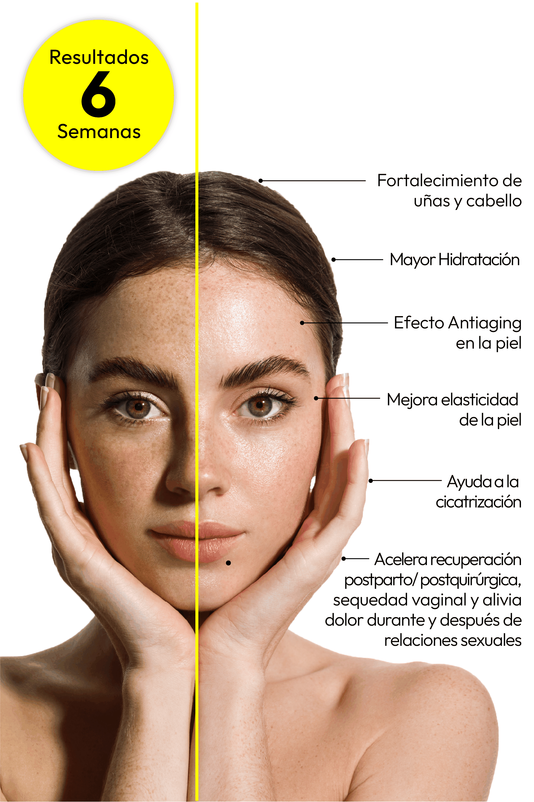 The Ultimate Collagen Boost