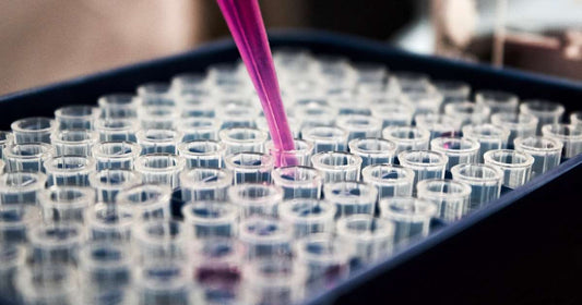 Mitos del colágeno hidrolizado: qué es cierto y qué no sobre piel y articulaciones