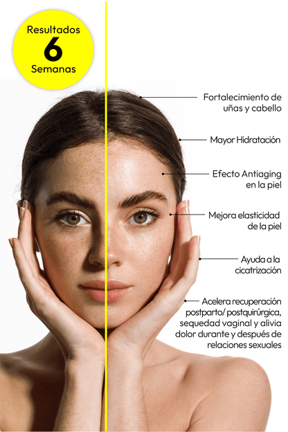 Ultimate Collagen Boost Everyday Lab – ingredientes activos colágeno hialurónico y vitamina E