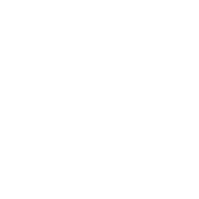 Boost Lab